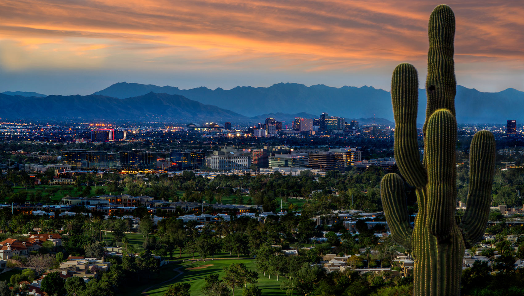 Phoenix at dusk